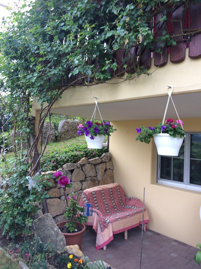 Bed and Breakfast Mona'S Sleep & Go Buren  Exteriér fotografie